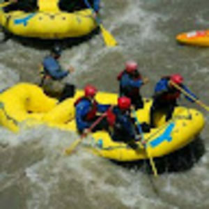 Meet your Posher, Nelson